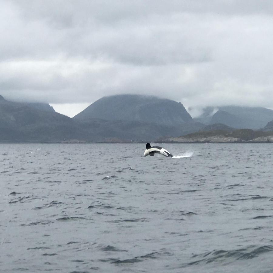 Fishermans Rorbu 2 - Lofoten Ramberg Exteriér fotografie
